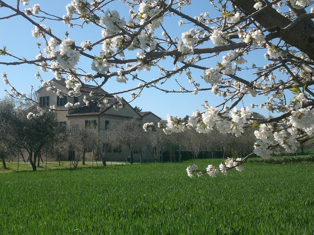 I Ciliegi Bed and Breakfast Osimo Exterior foto