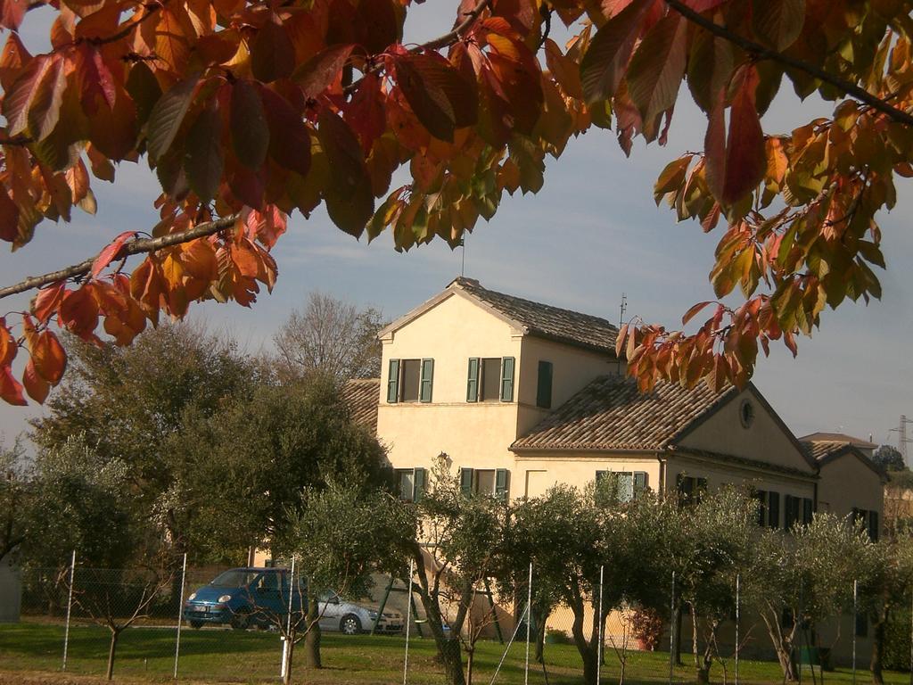 I Ciliegi Bed and Breakfast Osimo Exterior foto