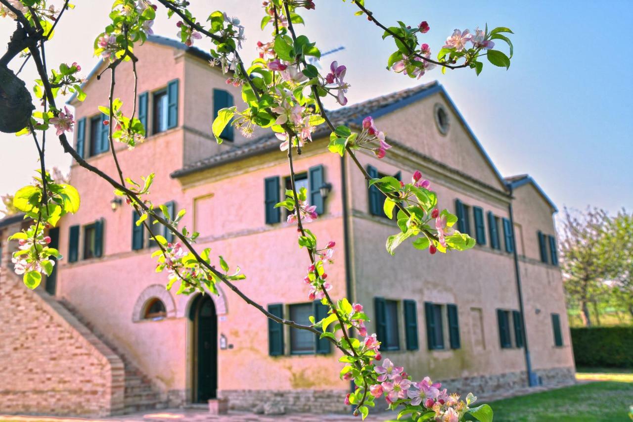 I Ciliegi Bed and Breakfast Osimo Exterior foto