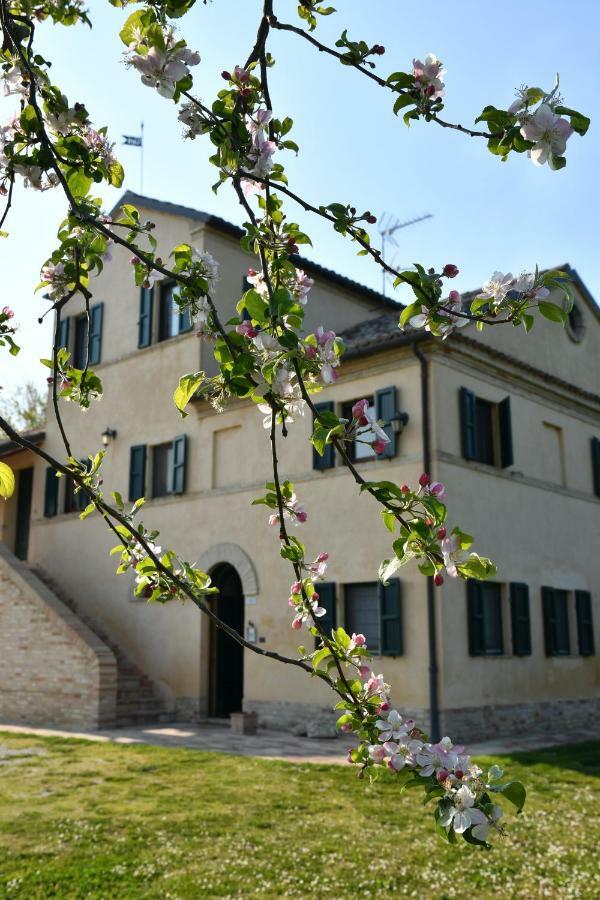 I Ciliegi Bed and Breakfast Osimo Exterior foto