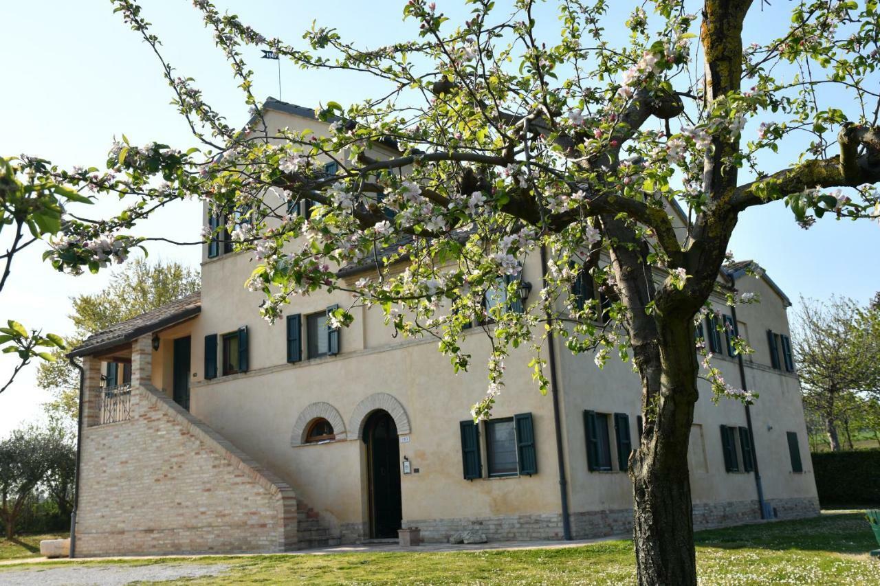 I Ciliegi Bed and Breakfast Osimo Exterior foto